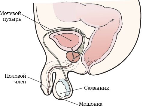 5 вещей, которые убивают ваши результаты в спорте