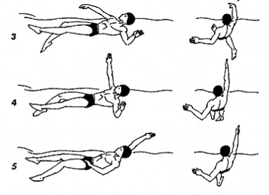 Как научиться плавать на спине