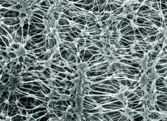 Как работают Gore-Tex и другие мембранные ткани