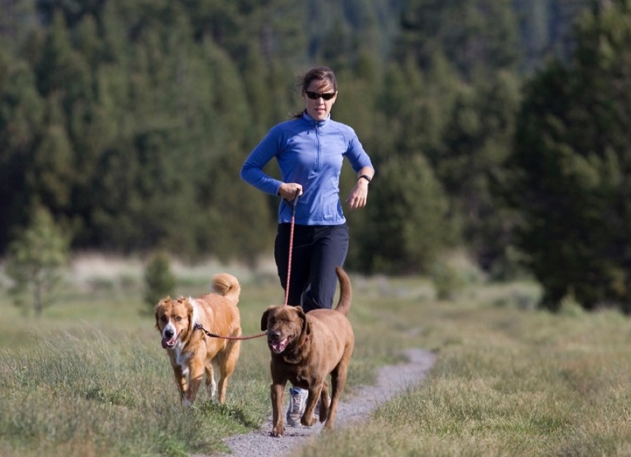 Приложение для бега WalkJogRun: новые маршруты, калькулятор темпа и тренировки для тех, кто хочет бегать с собакой